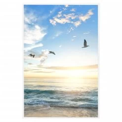 VidaXL Fotolijsten 5 St Voor Wand 42x59,4cm MDF Wit -Vidaxl 1e9fa480098a413f9b20dc9ecffa4092