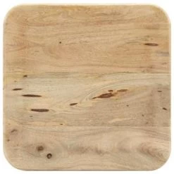 VidaXL Salontafel 45x45x40 Cm Massief Mangohout -Vidaxl 8ef4442e1c9b44079e87a3ac13a100f1
