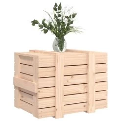VidaXL Opbergbox 58x40,5x42 Cm Massief Grenenhout -Vidaxl 923e110e46f147c79d9abf4af21eab57