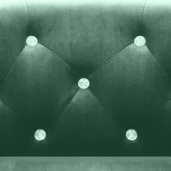 VidaXL Fauteuil Fluweel Groen -Vidaxl df6a31e963524035a672f2c986370926