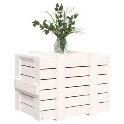 VidaXL Opbergbox 58x40,5x42 Cm Massief Grenenhout Wit -Vidaxl fb9ec7700e7c41cb83e914855fd20e77